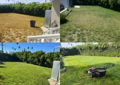 Affordable landscaping services