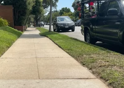 Dependable landscaping services