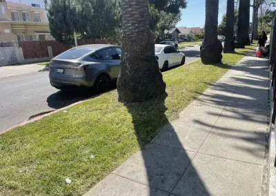 Excellent landscape designer