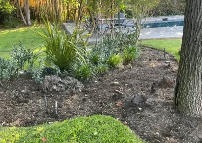 Excellent landscaping services