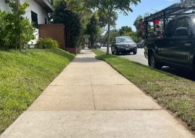 Great landscaping services