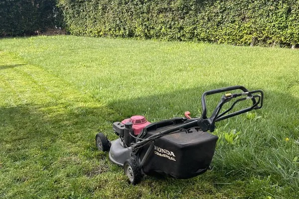 Lawn Mowing