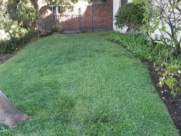 MS Dylan Gardens's other services