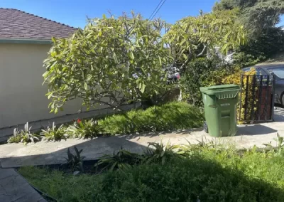 Quality landscape designer