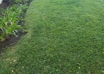 Quality landscaping services