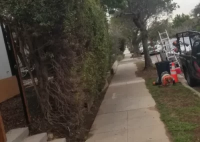 Reliable landscaping company