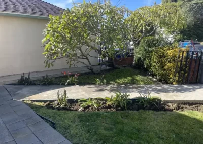 Superb landscape designer