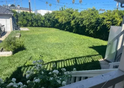 Superior landscaping services