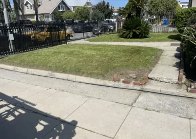 Top-notch landscape designer