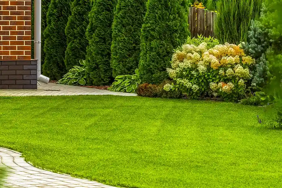 Affordable Lawn Care Los Angeles, CA