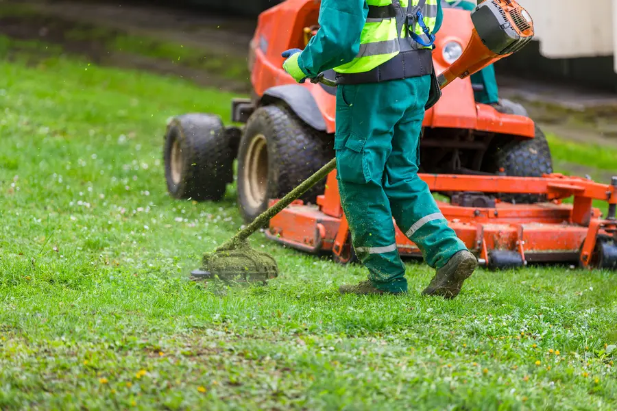 Experienced Lawn Mowing Los Angeles, CA