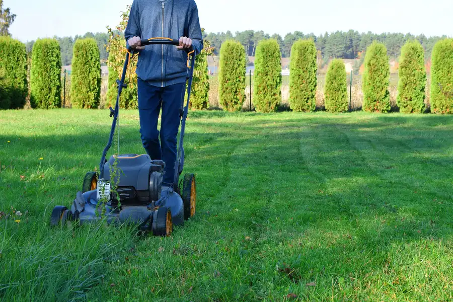How Proper Lawn Mowing Prevents Weed Growth Los Angeles, CA