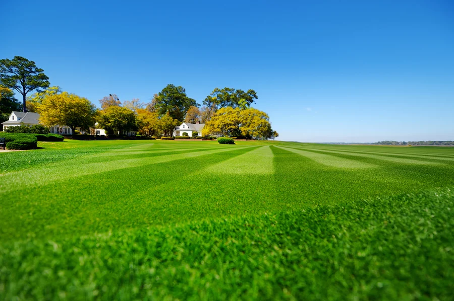 Maximizing Client Satisfaction With Expert Lawn Care in Los Angeles, CA