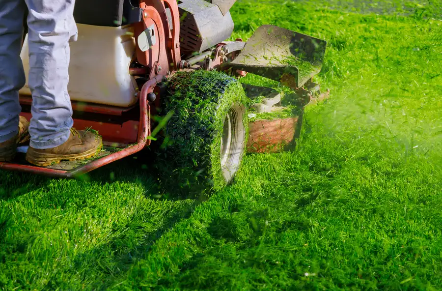 Premium Lawn Mowing Los Angeles, CA