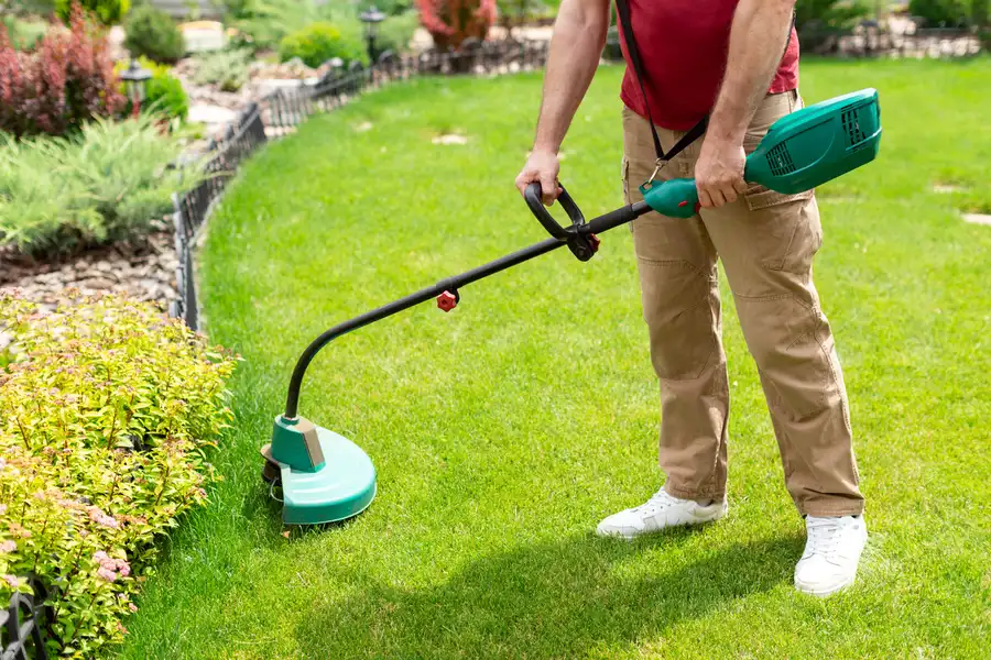Professional Lawn Care Los Angeles, CA