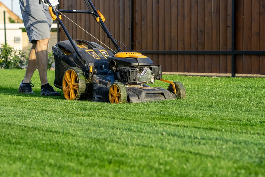 Understanding The Ideal Frequency For Lawn Mowing Los Angeles, CA