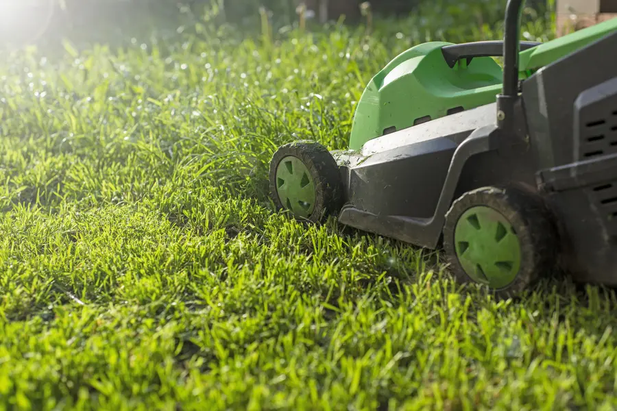 Understanding The Ideal Frequency For Lawn Mowing in Los Angeles, CA