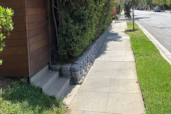 Professional Landscaping Services Professional Landscaping Services